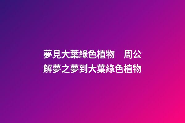 夢見大葉綠色植物　周公解夢之夢到大葉綠色植物